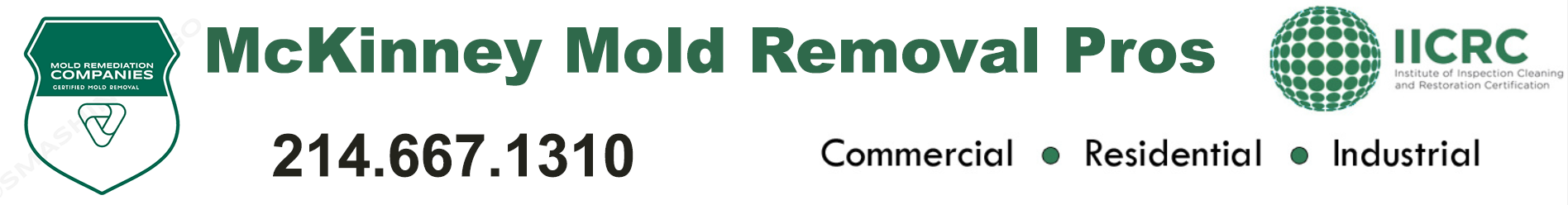 McKinney Mold Removal Pros