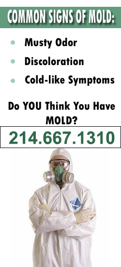 McKinney Mold Remediation Contractor